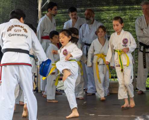Taekwondo Kindergruppe beim Tigerentenrennen Kassel 2023
