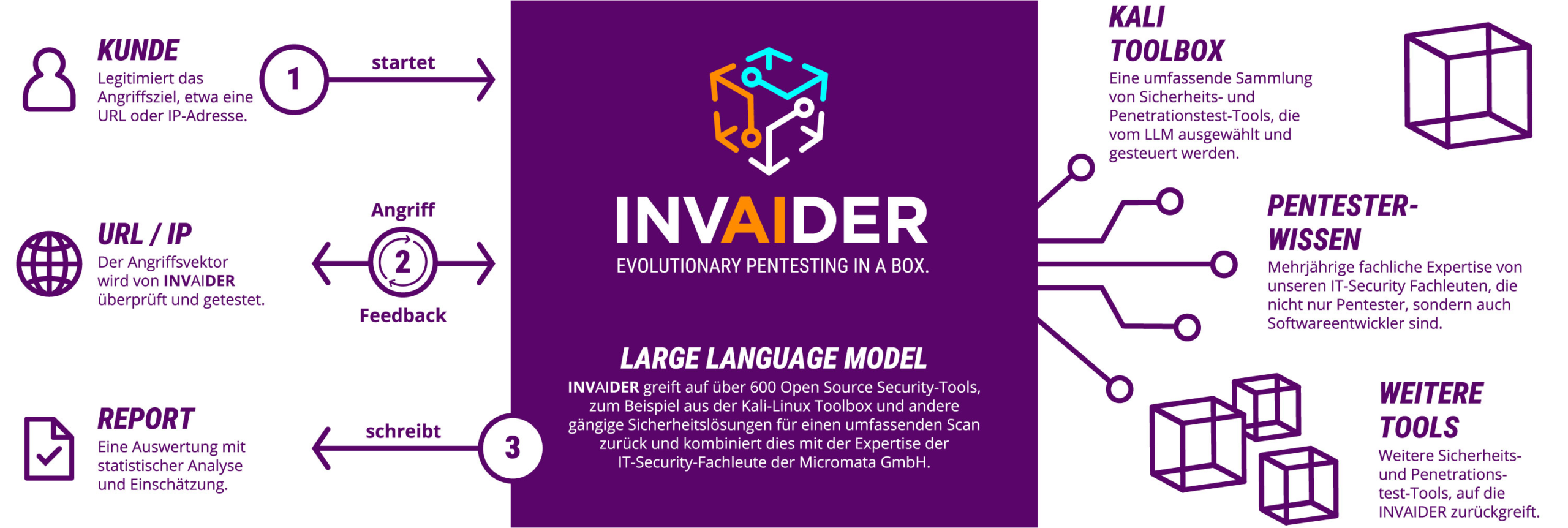 Organigramm zur Funktionsweise von INVAIDER