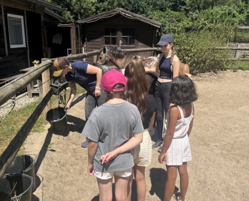 Micromata-Sommerfest 2025 auf Gut Waitzrodt: Kinder mit Pony