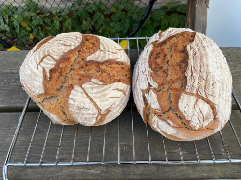 PHOTO-2025-09-30-15-09-40