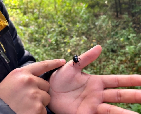 PHOTO-2025-09-30-15-11-10 8